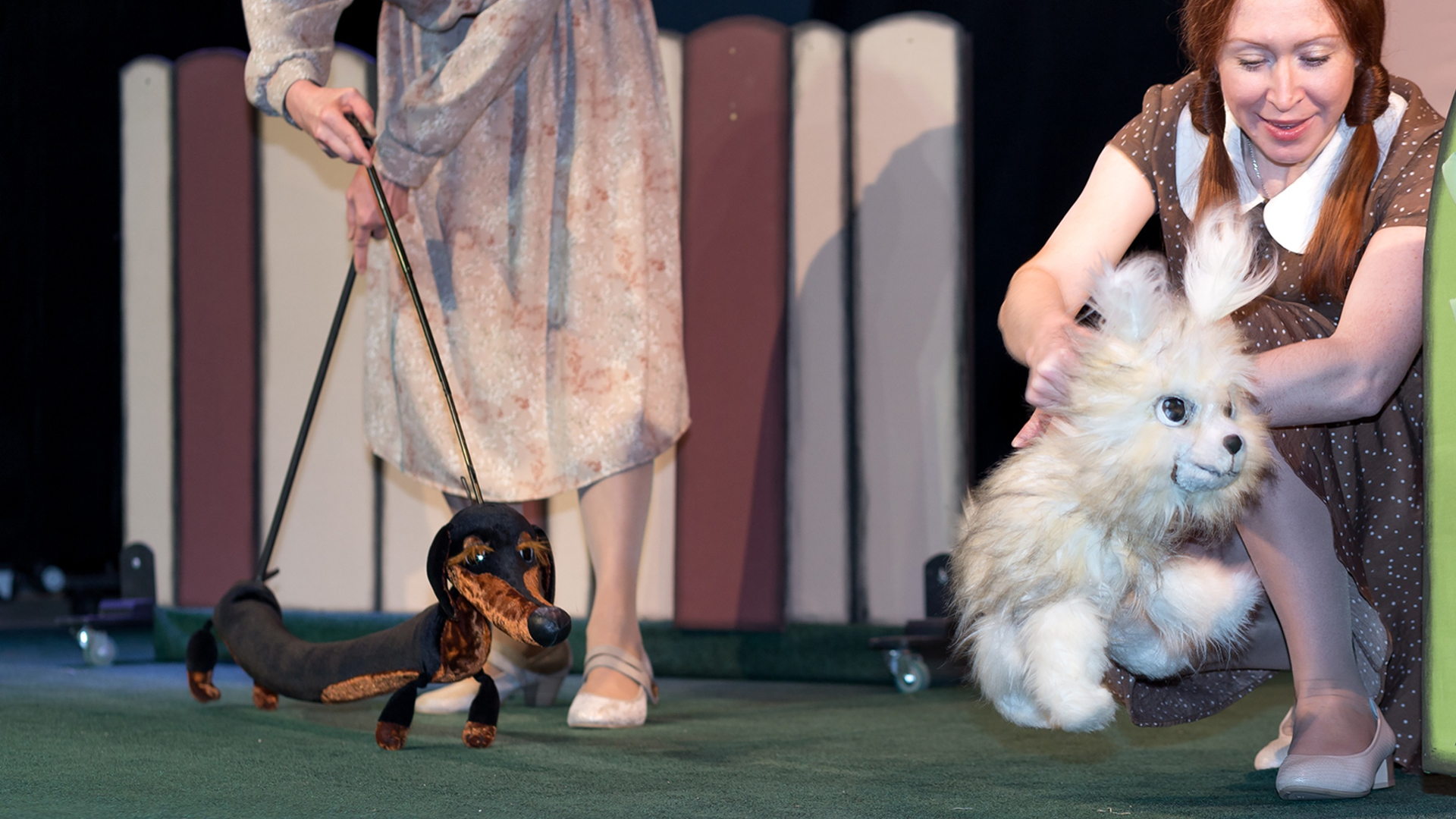 Умная собачка Соня – афиша