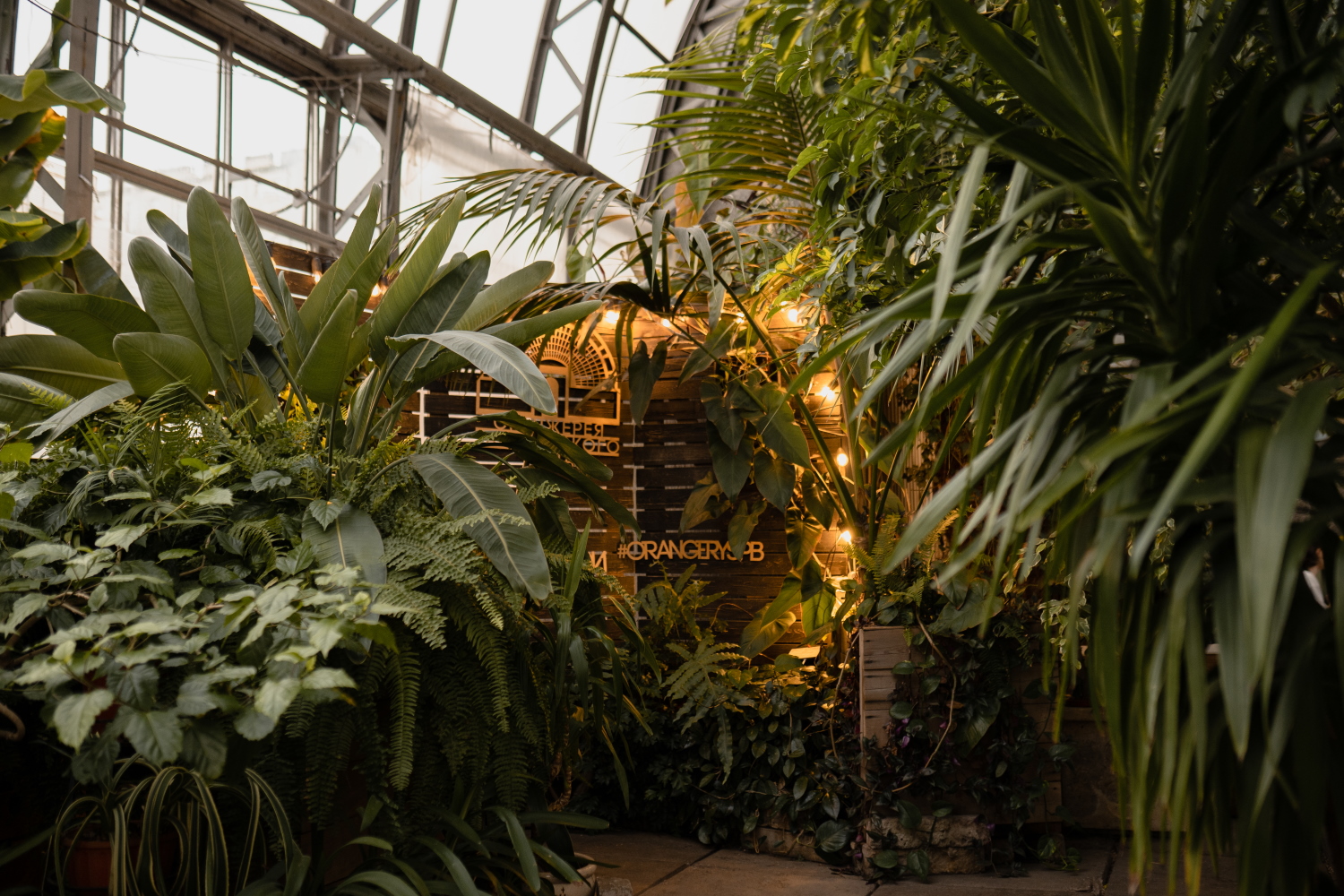 Магия свечей. «Джаз. Под небом Парижа» в Оранжерее – афиша