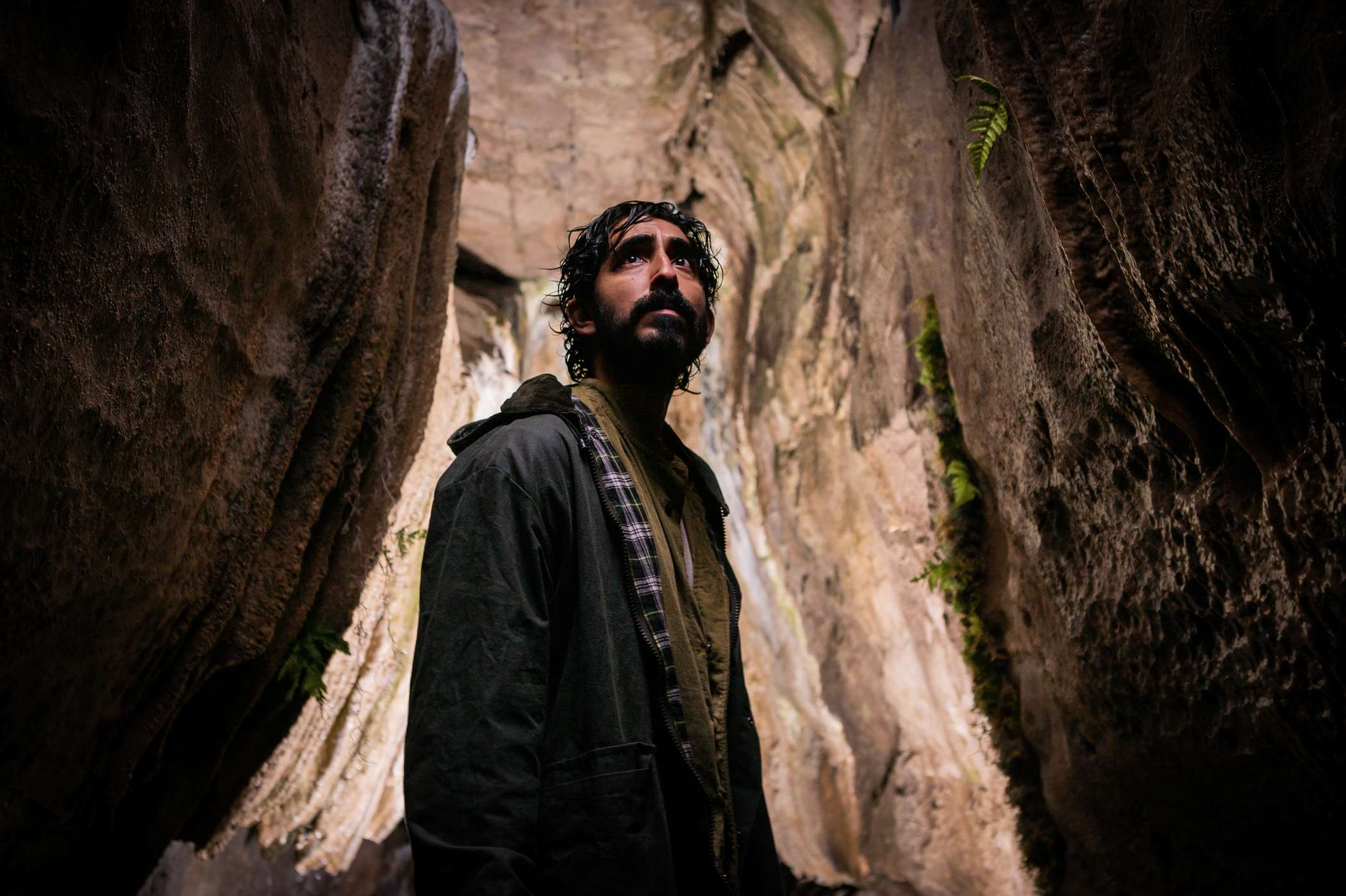 Ловушка для кролика – афиша