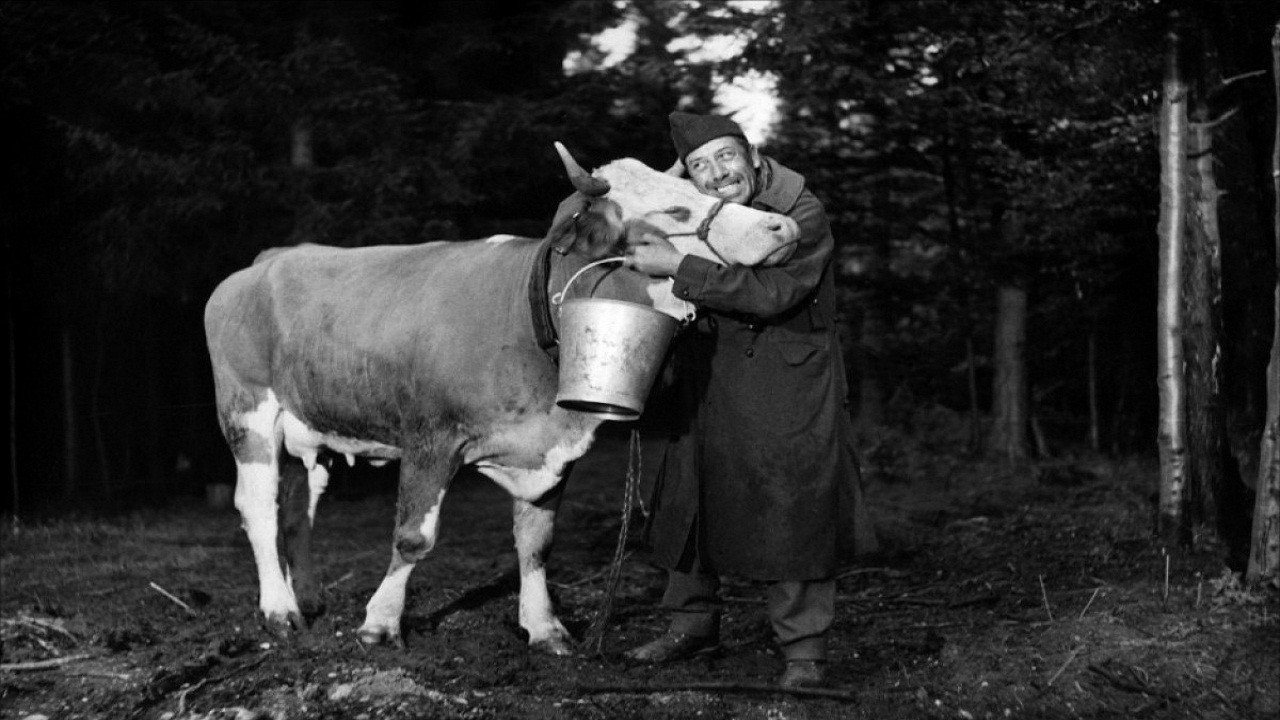 Корова и солдат – афиша