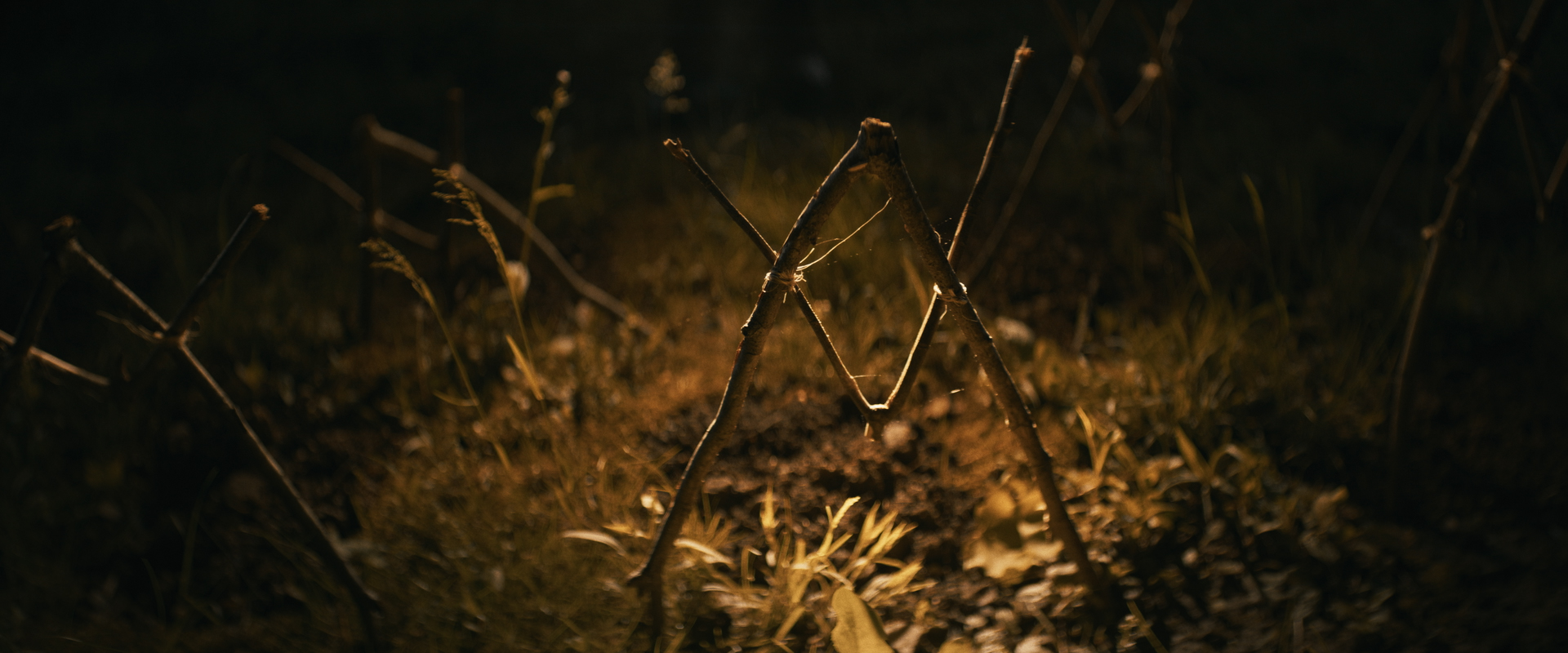 Шелби-Оукс. Город-призрак – афиша