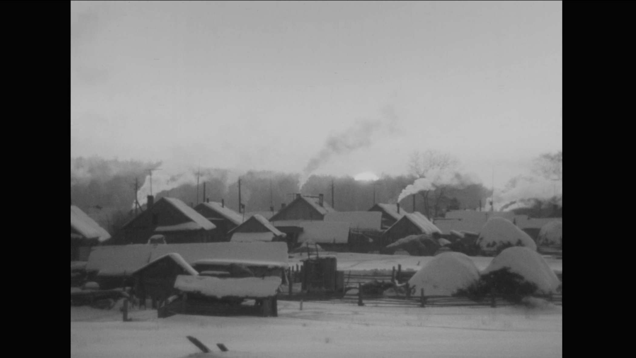 Beat Film Festival 2025. Док индустрия. Программа короткометражных фильмов – афиша