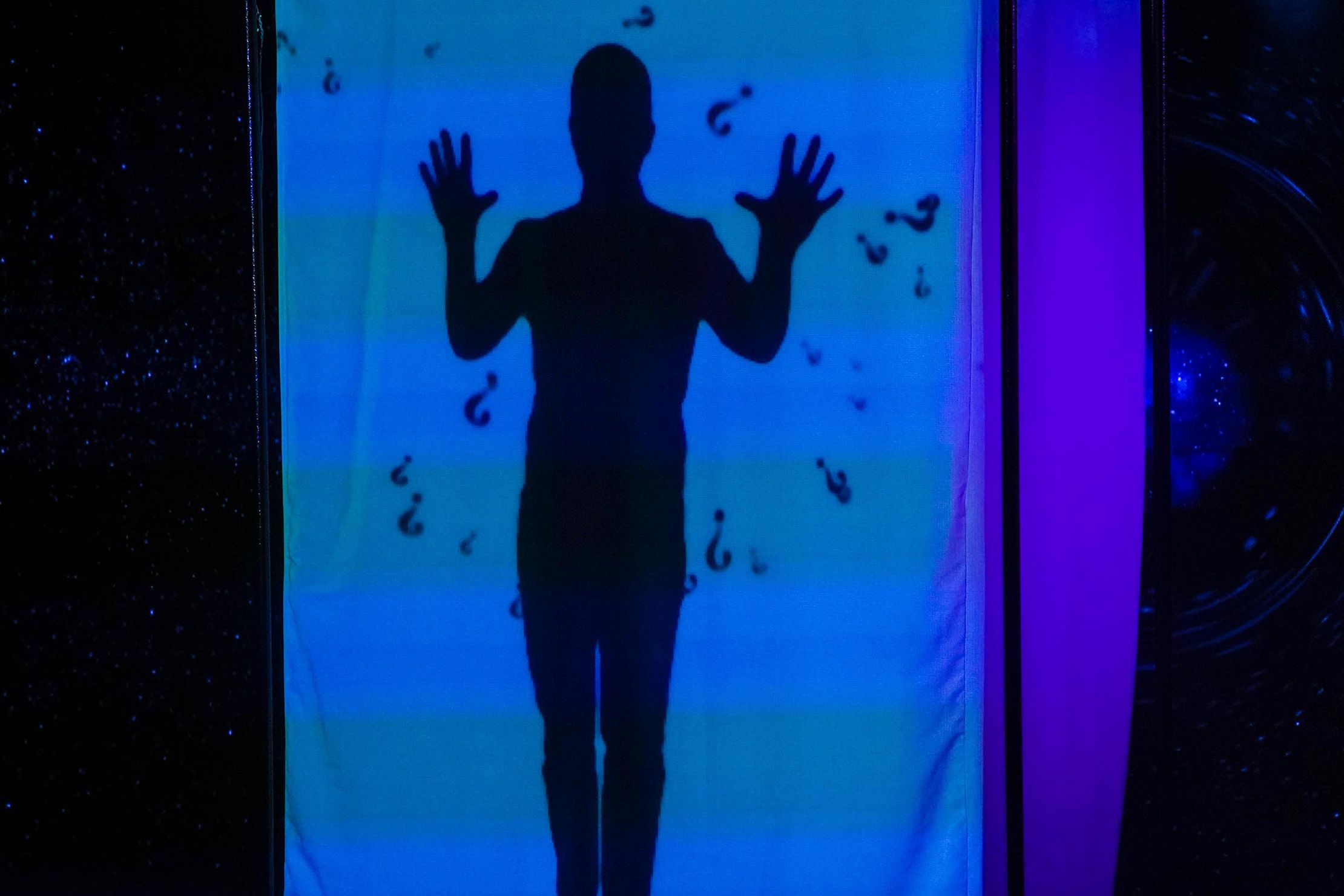 Вопрос. Иллюзионный спектакль Александра Магу – афиша