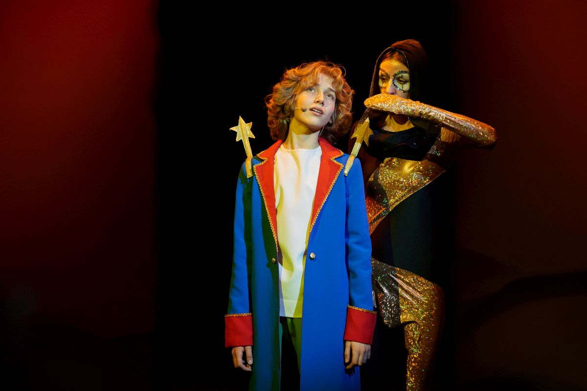 Мюзикл стаса намина. Театр Стаса Намина маленький принц. Маленький принц Стаса Намина. Мюзикл маленький принц. Театр маленький принц в Москве.
