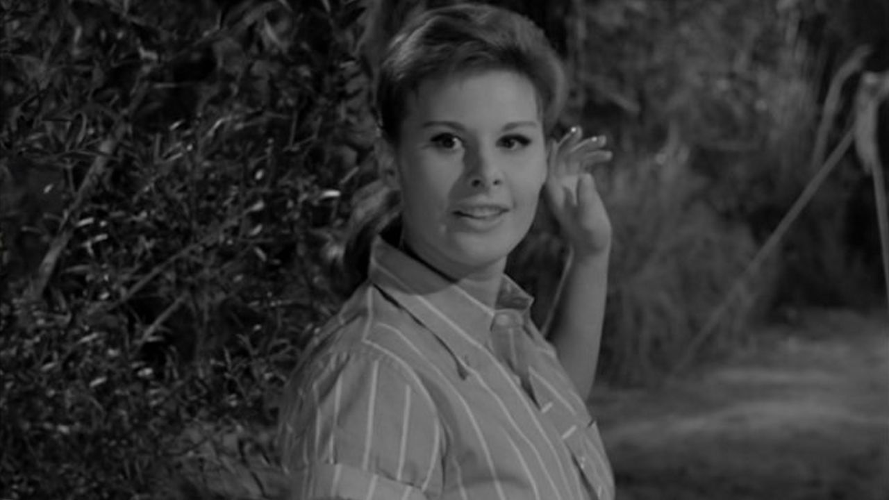 Кемпинг – афиша