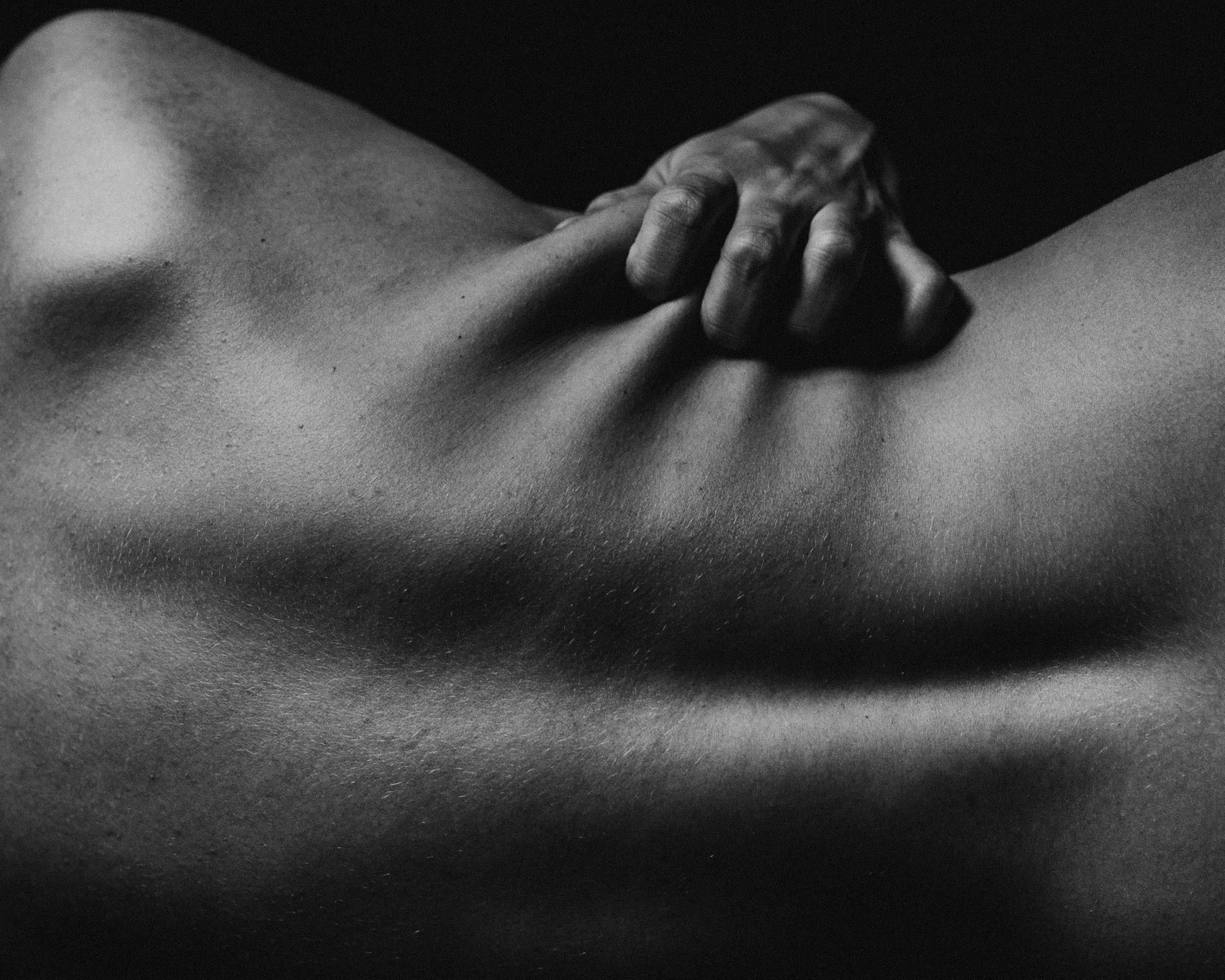 Evolution – афиша