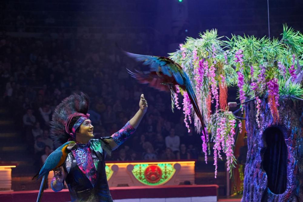 Шоу слонов – афиша