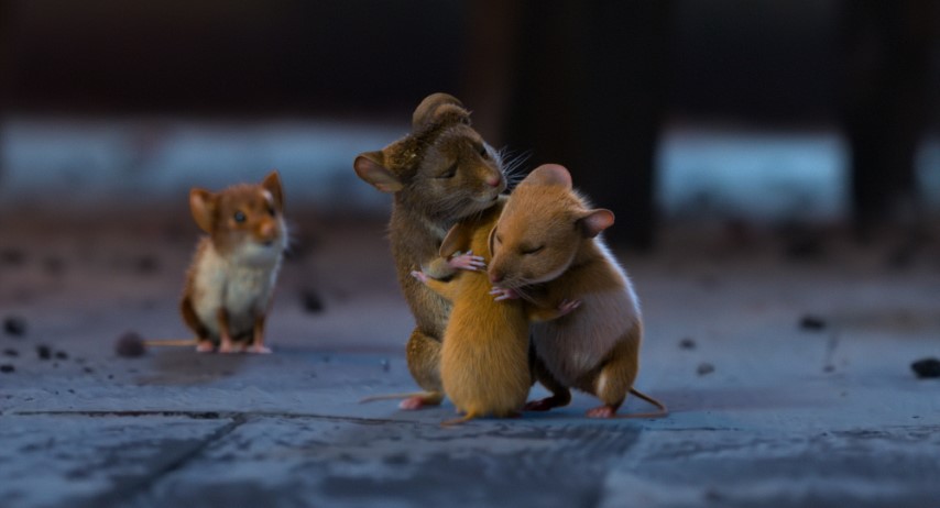 Мышиный переполох – афиша