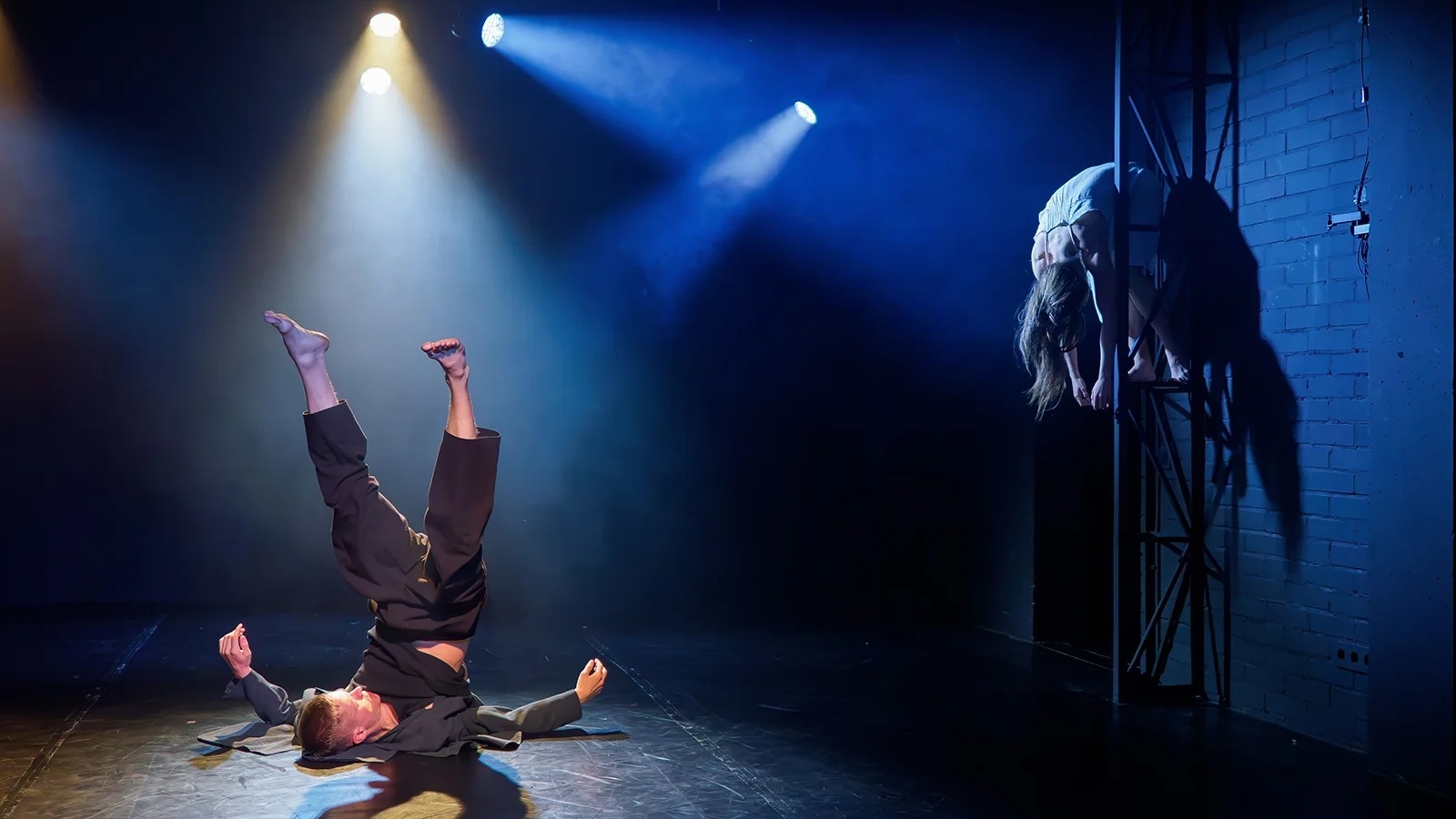 Дано мне тело... – афиша