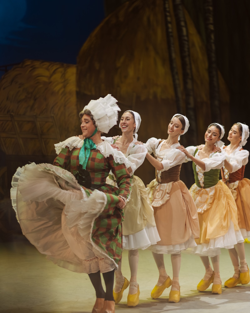 Тщетная предосторожность – афиша