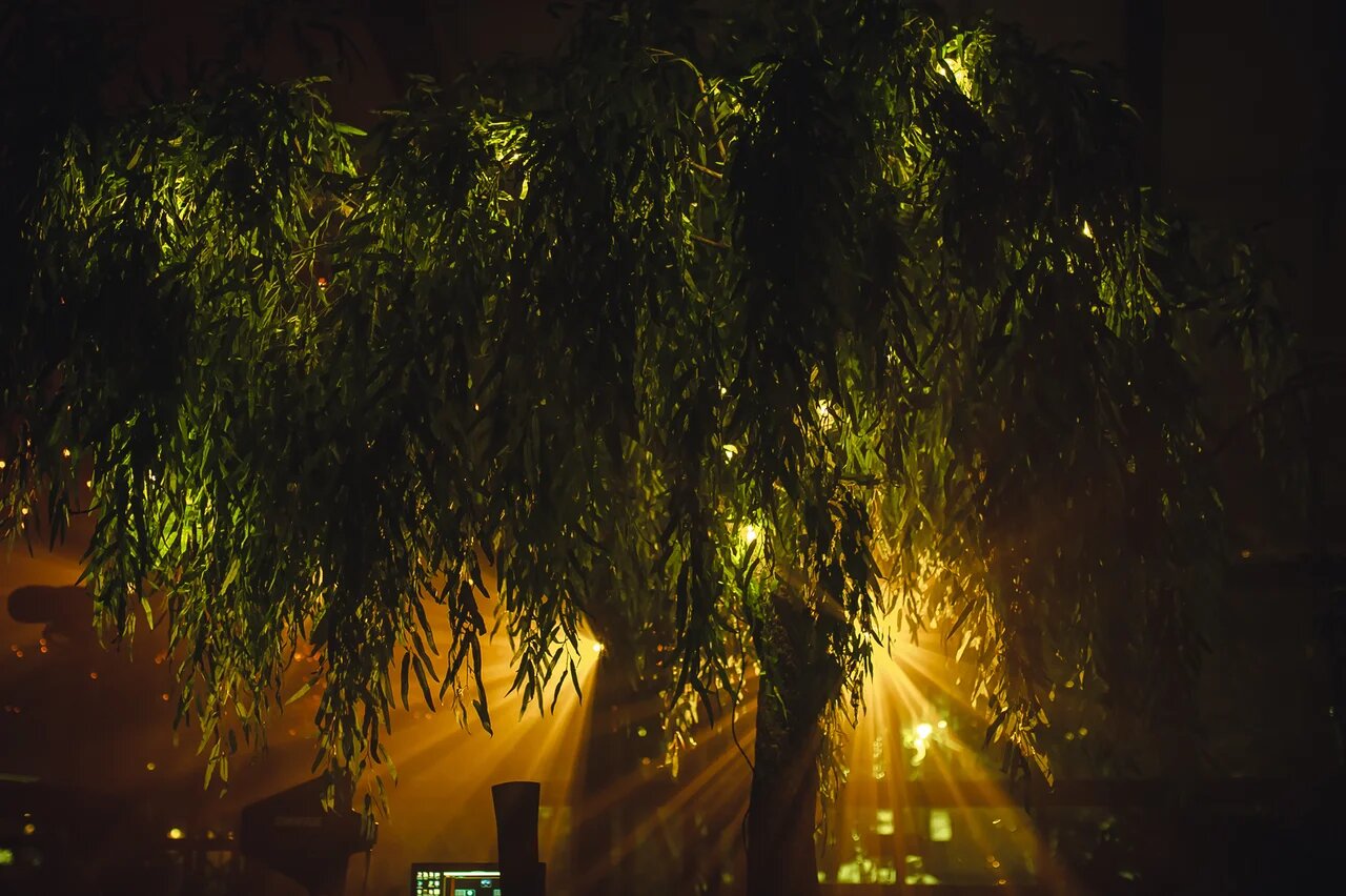 Вера Хайр утдинова: Диалоги о цветах – афиша