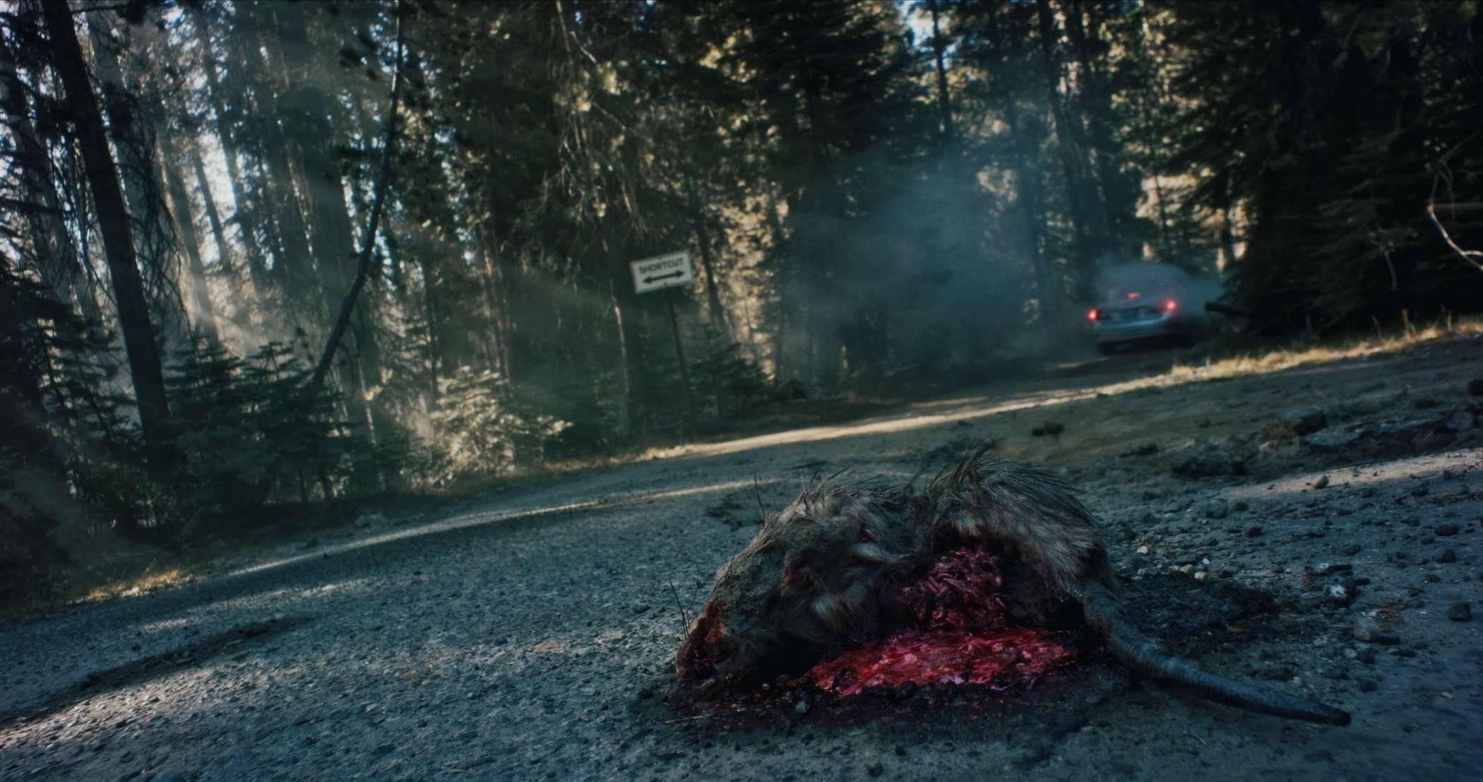 Извне. Петля времени – афиша