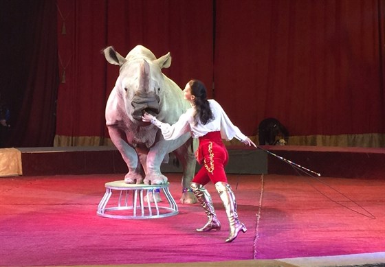 Цирк больших зверей – афиша
