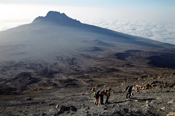Жизнь в движении. Килиманджаро – афиша