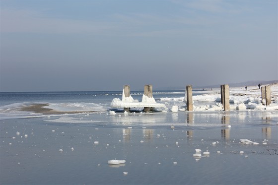 Берег Балтийского моря – афиша