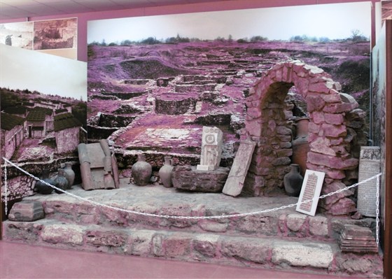 Музей-заповедник «Танаис» – афиша