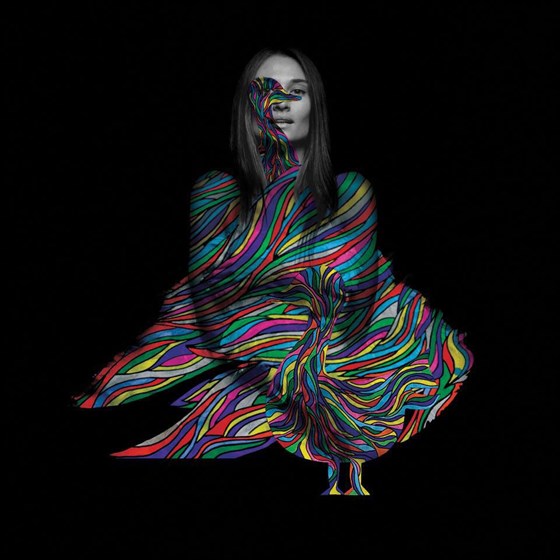 Анна Гусева. The Goose/Гусь – афиша