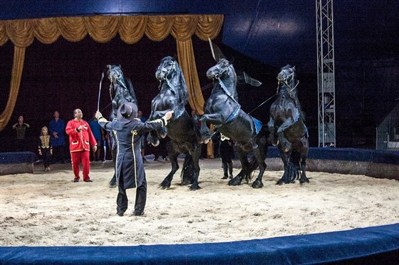 Новогодние чудеса в цирке огромных зверей – афиша