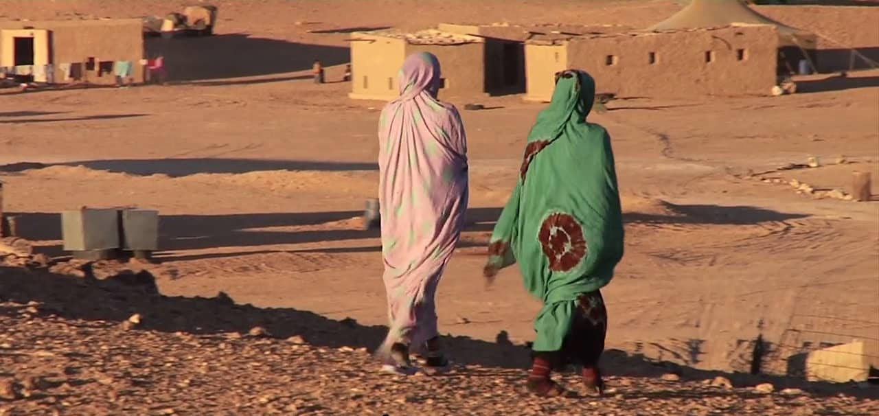 Референдум и сопротивление в Западной Сахаре – афиша