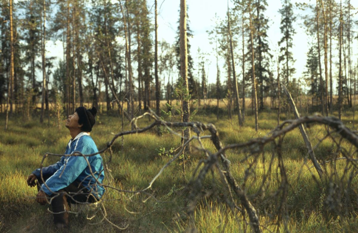 Как правильно собирать ягоды – афиша